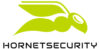 Logo Hornetsecurity