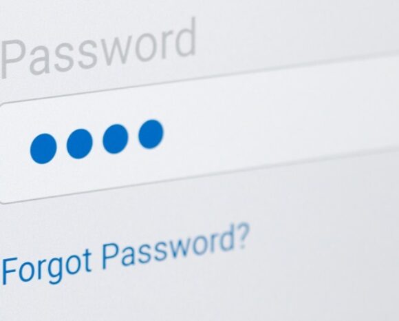 Fenster zur Passwort-Verifizierung