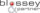 Logo Blossey & Partner