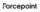 Logo Forcepoint